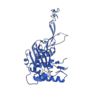 21126_6v9q_B_v1-2
Cryo-EM structure of Cascade-TniQ binary complex