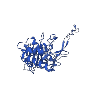 21126_6v9q_C_v1-2
Cryo-EM structure of Cascade-TniQ binary complex