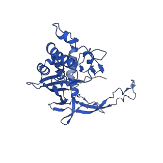 21126_6v9q_D_v1-2
Cryo-EM structure of Cascade-TniQ binary complex