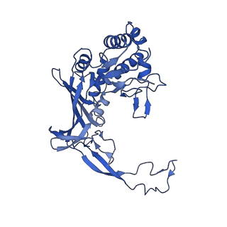 21126_6v9q_E_v1-2
Cryo-EM structure of Cascade-TniQ binary complex