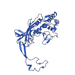 21126_6v9q_F_v1-2
Cryo-EM structure of Cascade-TniQ binary complex