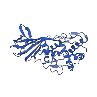 21126_6v9q_G_v1-2
Cryo-EM structure of Cascade-TniQ binary complex