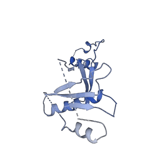 21126_6v9q_H_v1-2
Cryo-EM structure of Cascade-TniQ binary complex