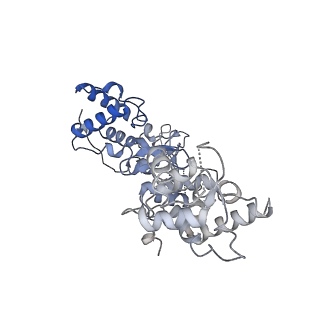 21126_6v9q_I_v1-2
Cryo-EM structure of Cascade-TniQ binary complex