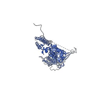 21128_6v9w_A_v1-5
Structure of TRPA1 (ligand-free) with bound calcium, LMNG