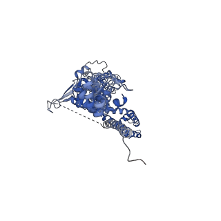 21128_6v9w_C_v1-4
Structure of TRPA1 (ligand-free) with bound calcium, LMNG