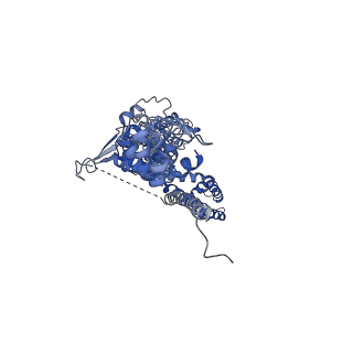 21128_6v9w_C_v1-5
Structure of TRPA1 (ligand-free) with bound calcium, LMNG