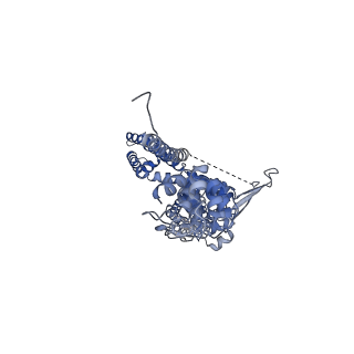 21130_6v9y_A_v1-4
Structure of TRPA1 bound with A-967079, PMAL-C8