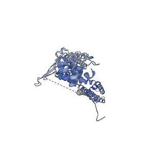 21130_6v9y_C_v1-5
Structure of TRPA1 bound with A-967079, PMAL-C8