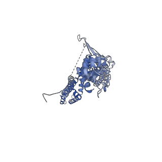 21130_6v9y_D_v1-4
Structure of TRPA1 bound with A-967079, PMAL-C8