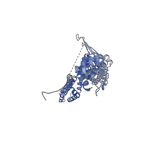 21130_6v9y_D_v1-5
Structure of TRPA1 bound with A-967079, PMAL-C8