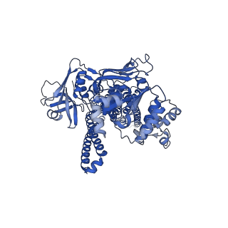 21132_6v9z_A_v1-2
Cryo-EM structure of PCAT1 bound to its CtA peptide substrate