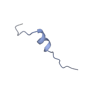 21132_6v9z_C_v1-2
Cryo-EM structure of PCAT1 bound to its CtA peptide substrate