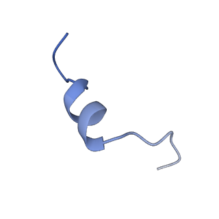 21132_6v9z_D_v1-2
Cryo-EM structure of PCAT1 bound to its CtA peptide substrate