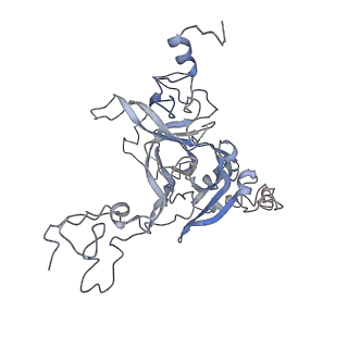 2599_4v91_B_v1-2
Kluyveromyces lactis 80S ribosome in complex with CrPV-IRES