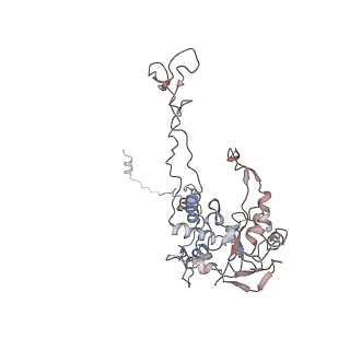 2599_4v91_C_v1-2
Kluyveromyces lactis 80S ribosome in complex with CrPV-IRES
