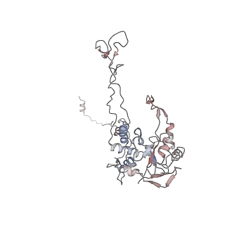 2599_4v91_C_v2-1
Kluyveromyces lactis 80S ribosome in complex with CrPV-IRES