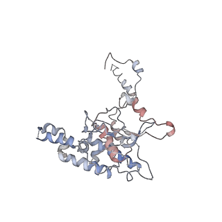 2599_4v91_D_v1-2
Kluyveromyces lactis 80S ribosome in complex with CrPV-IRES