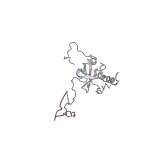 2599_4v91_E_v1-2
Kluyveromyces lactis 80S ribosome in complex with CrPV-IRES