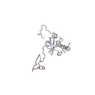 2599_4v91_E_v2-1
Kluyveromyces lactis 80S ribosome in complex with CrPV-IRES