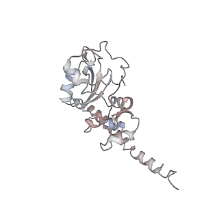 2599_4v91_F_v1-2
Kluyveromyces lactis 80S ribosome in complex with CrPV-IRES