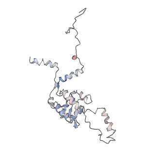 2599_4v91_G_v1-2
Kluyveromyces lactis 80S ribosome in complex with CrPV-IRES