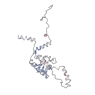 2599_4v91_G_v2-1
Kluyveromyces lactis 80S ribosome in complex with CrPV-IRES