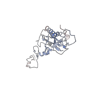 2599_4v91_I_v1-2
Kluyveromyces lactis 80S ribosome in complex with CrPV-IRES
