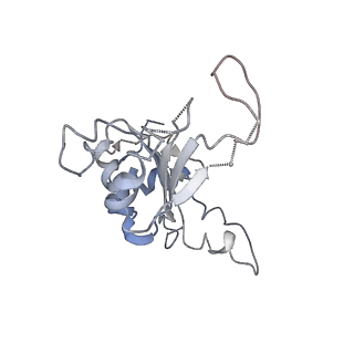 2599_4v91_J_v1-2
Kluyveromyces lactis 80S ribosome in complex with CrPV-IRES