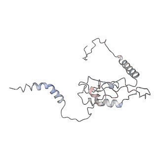 2599_4v91_L_v1-2
Kluyveromyces lactis 80S ribosome in complex with CrPV-IRES