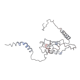 2599_4v91_L_v2-1
Kluyveromyces lactis 80S ribosome in complex with CrPV-IRES