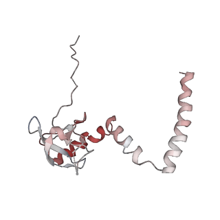 2599_4v91_M_v1-2
Kluyveromyces lactis 80S ribosome in complex with CrPV-IRES