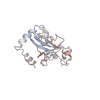 2599_4v91_N_v1-2
Kluyveromyces lactis 80S ribosome in complex with CrPV-IRES