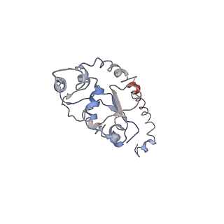 2599_4v91_O_v2-1
Kluyveromyces lactis 80S ribosome in complex with CrPV-IRES