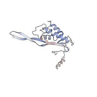 2599_4v91_P_v1-2
Kluyveromyces lactis 80S ribosome in complex with CrPV-IRES