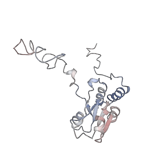 2599_4v91_Q_v1-2
Kluyveromyces lactis 80S ribosome in complex with CrPV-IRES