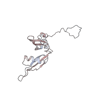 2599_4v91_S_v1-2
Kluyveromyces lactis 80S ribosome in complex with CrPV-IRES