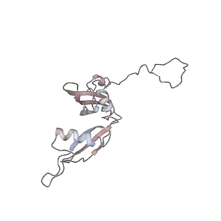 2599_4v91_S_v2-1
Kluyveromyces lactis 80S ribosome in complex with CrPV-IRES