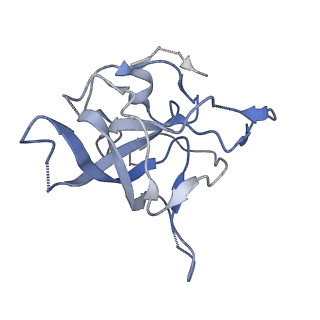 2599_4v91_V_v2-1
Kluyveromyces lactis 80S ribosome in complex with CrPV-IRES