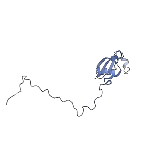2599_4v91_X_v1-2
Kluyveromyces lactis 80S ribosome in complex with CrPV-IRES