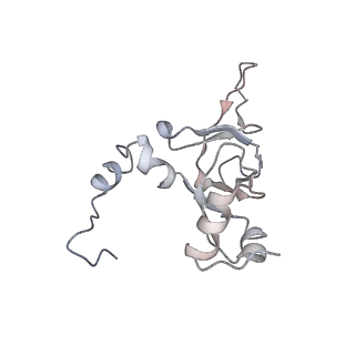 2599_4v91_Y_v1-2
Kluyveromyces lactis 80S ribosome in complex with CrPV-IRES