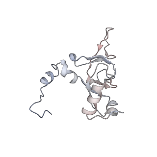 2599_4v91_Y_v2-1
Kluyveromyces lactis 80S ribosome in complex with CrPV-IRES