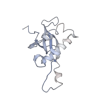 2599_4v91_Z_v1-2
Kluyveromyces lactis 80S ribosome in complex with CrPV-IRES