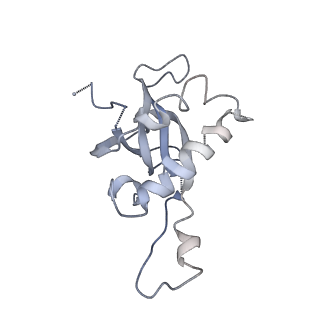 2599_4v91_Z_v2-1
Kluyveromyces lactis 80S ribosome in complex with CrPV-IRES