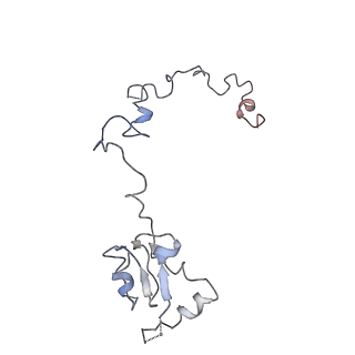 2599_4v91_a_v1-2
Kluyveromyces lactis 80S ribosome in complex with CrPV-IRES