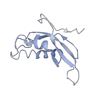 2599_4v91_d_v1-2
Kluyveromyces lactis 80S ribosome in complex with CrPV-IRES