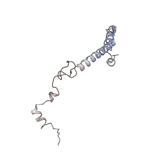 2599_4v91_h_v1-2
Kluyveromyces lactis 80S ribosome in complex with CrPV-IRES