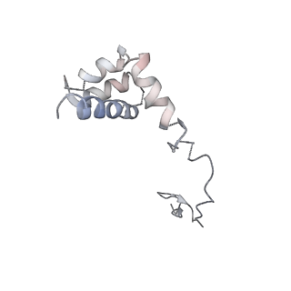 2599_4v91_i_v1-2
Kluyveromyces lactis 80S ribosome in complex with CrPV-IRES