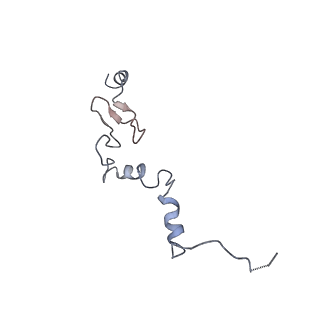 2599_4v91_j_v1-2
Kluyveromyces lactis 80S ribosome in complex with CrPV-IRES