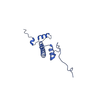 31806_7v90_C_v1-3
Telomeric mononucleosome